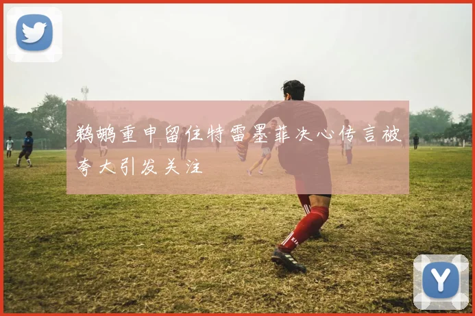 鹈鹕重申留住特雷墨菲决心传言被夸大引发关注