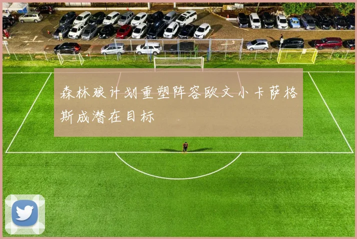 森林狼计划重塑阵容欧文小卡萨格斯成潜在目标